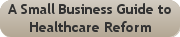 A Small Business Guide to Healthcare Reform